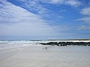 Photo: Tortuga Bay Beach, Galapagos (2006/12/21 13:03)